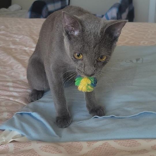 Flower Power 14 — thumbnail 12