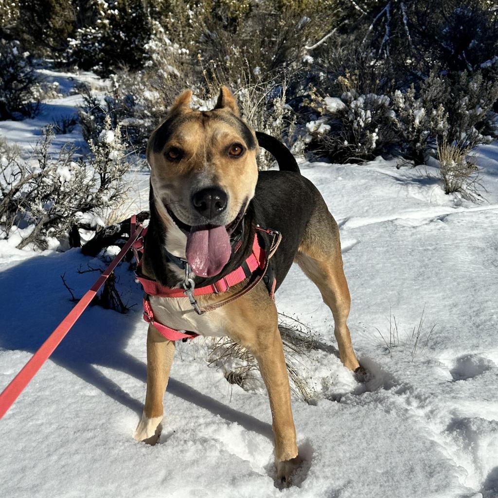 Dana — thumbnail 3