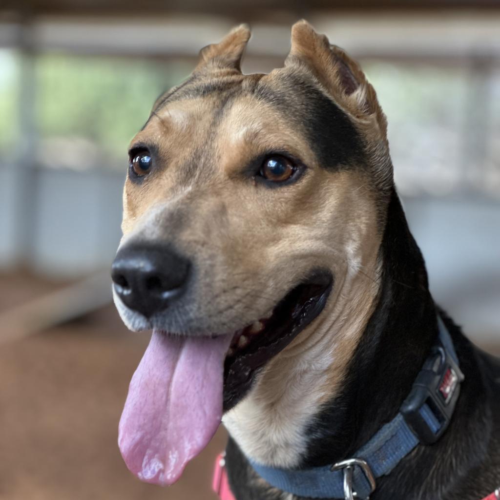 Dana — thumbnail 5