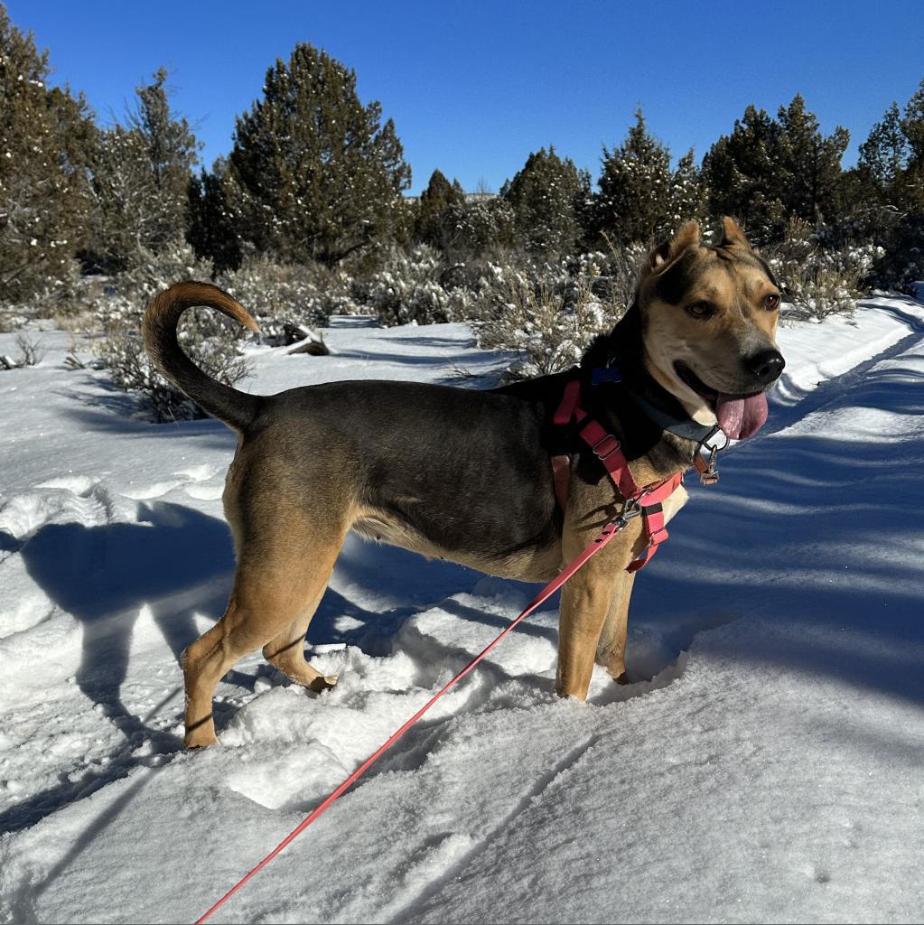 Dana — thumbnail 6