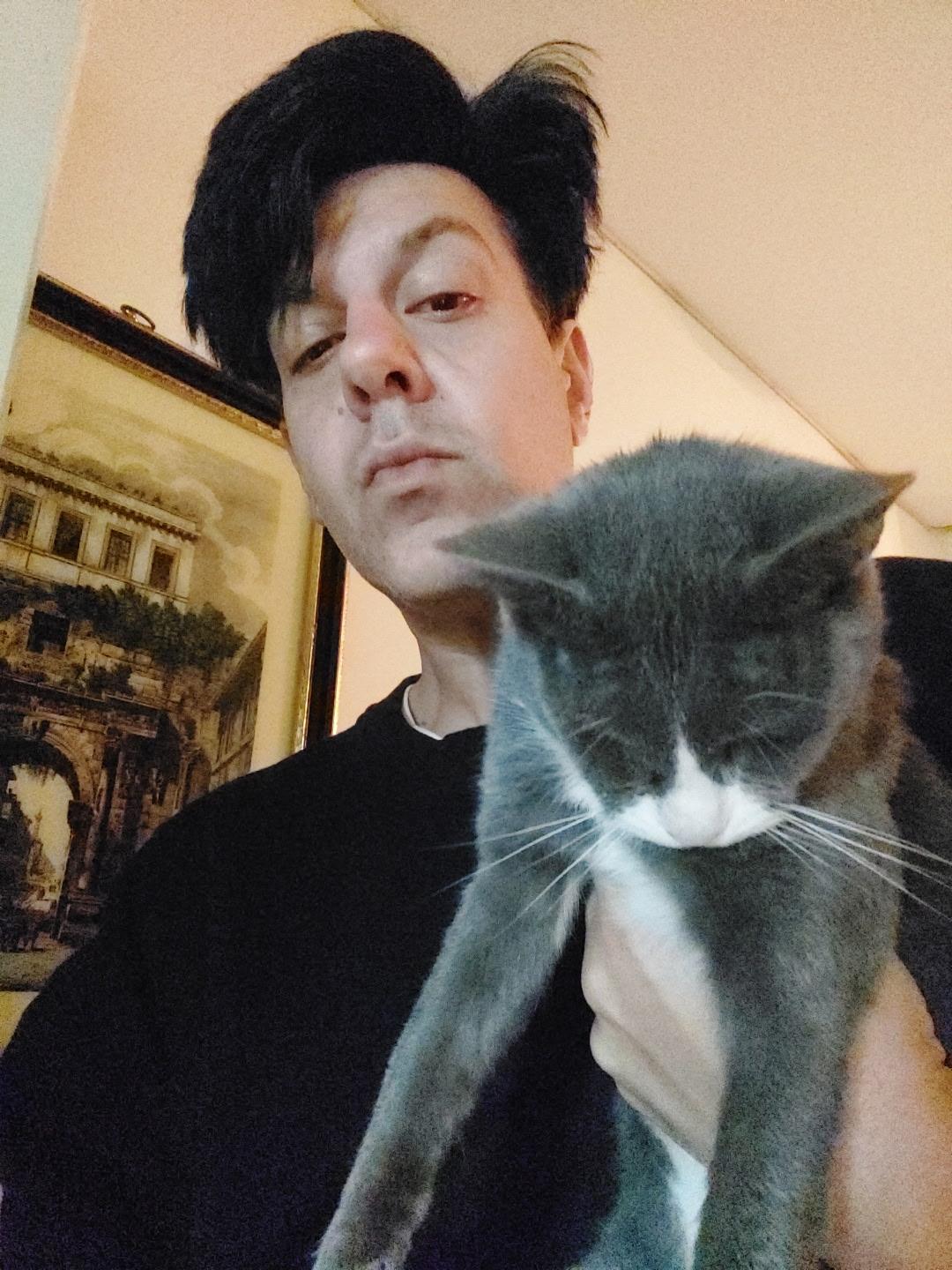 Enlarge Lapis, a Adopted Domestic Short Hair in New York, NY image 4/6