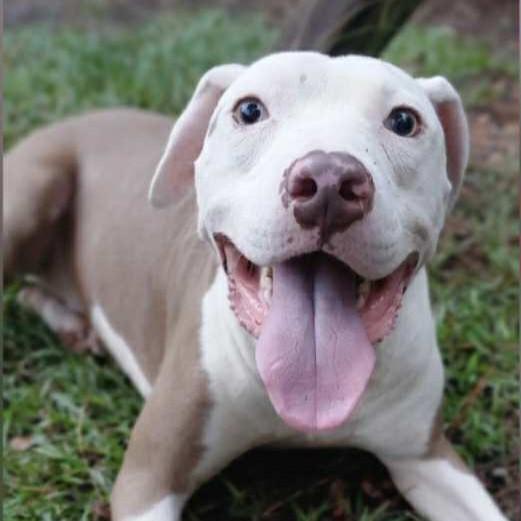 Marley — thumbnail 2