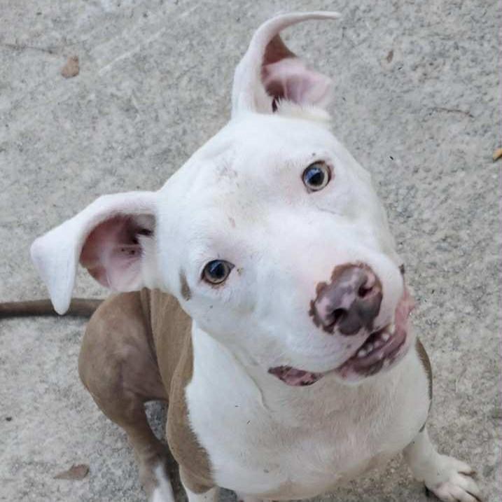 Marley — thumbnail 4