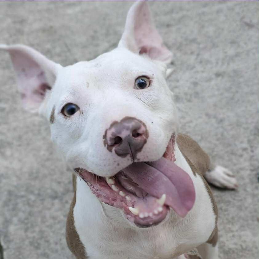 Marley — thumbnail 5