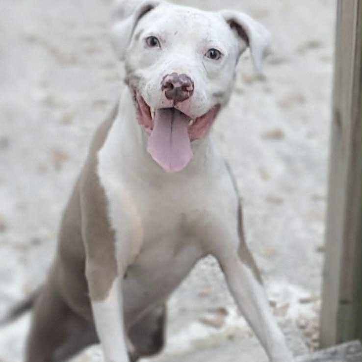 Marley — thumbnail 6