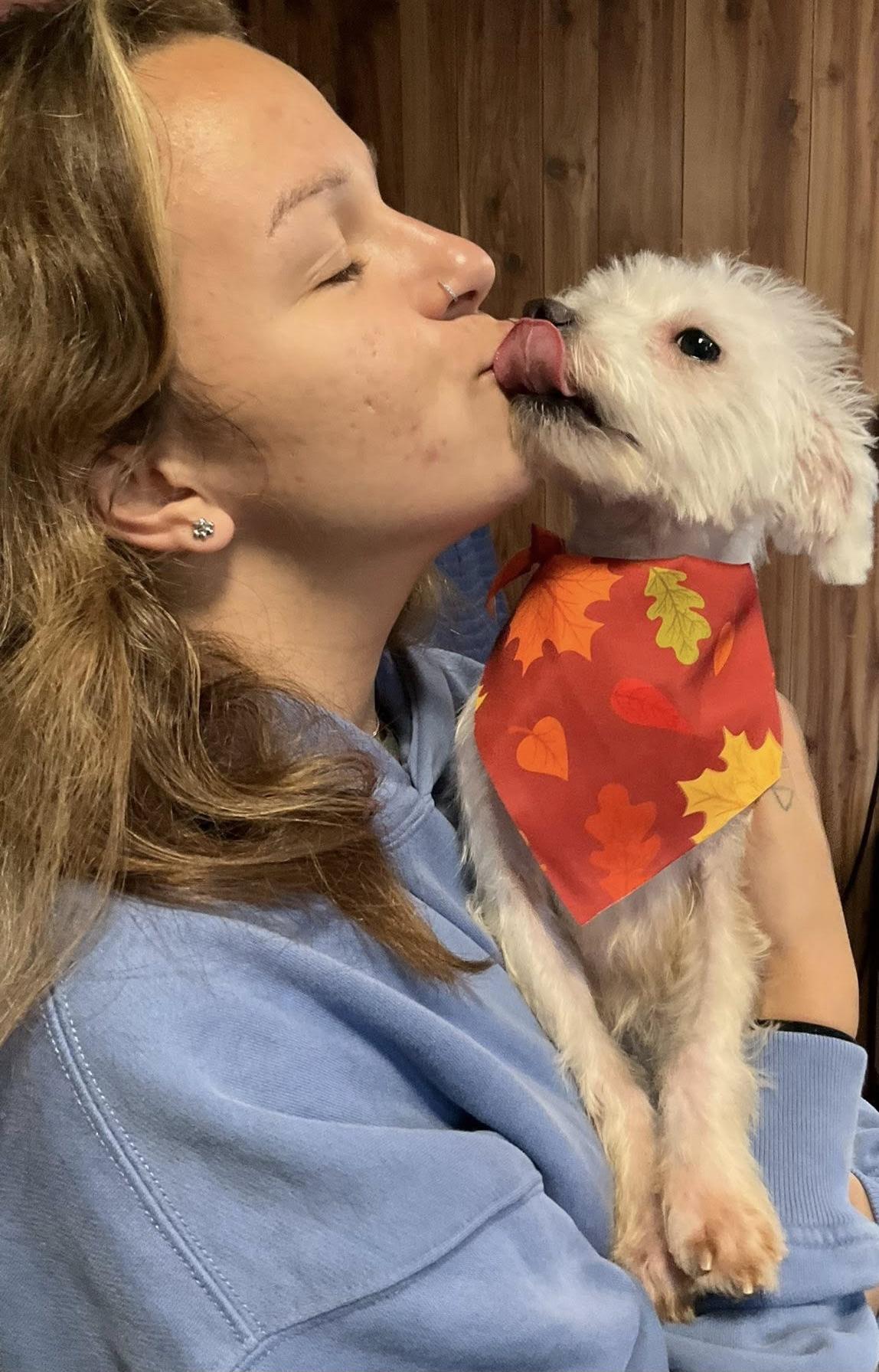 Enlarge Marcus, a Adopted Terrier in Montclair, NJ image 4/4