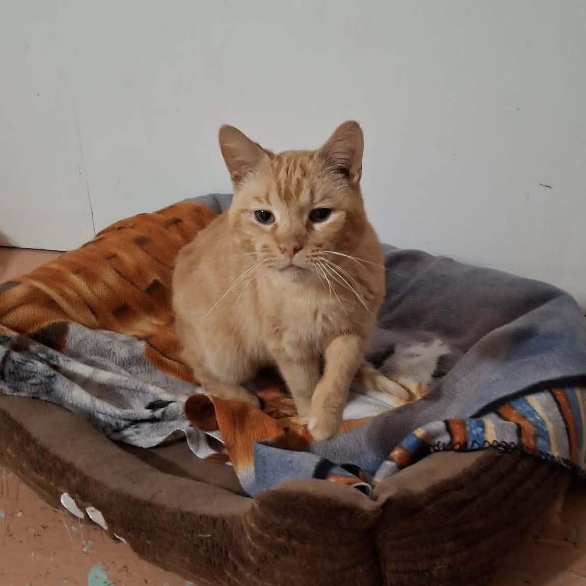 Arthur (Artie) — thumbnail 3