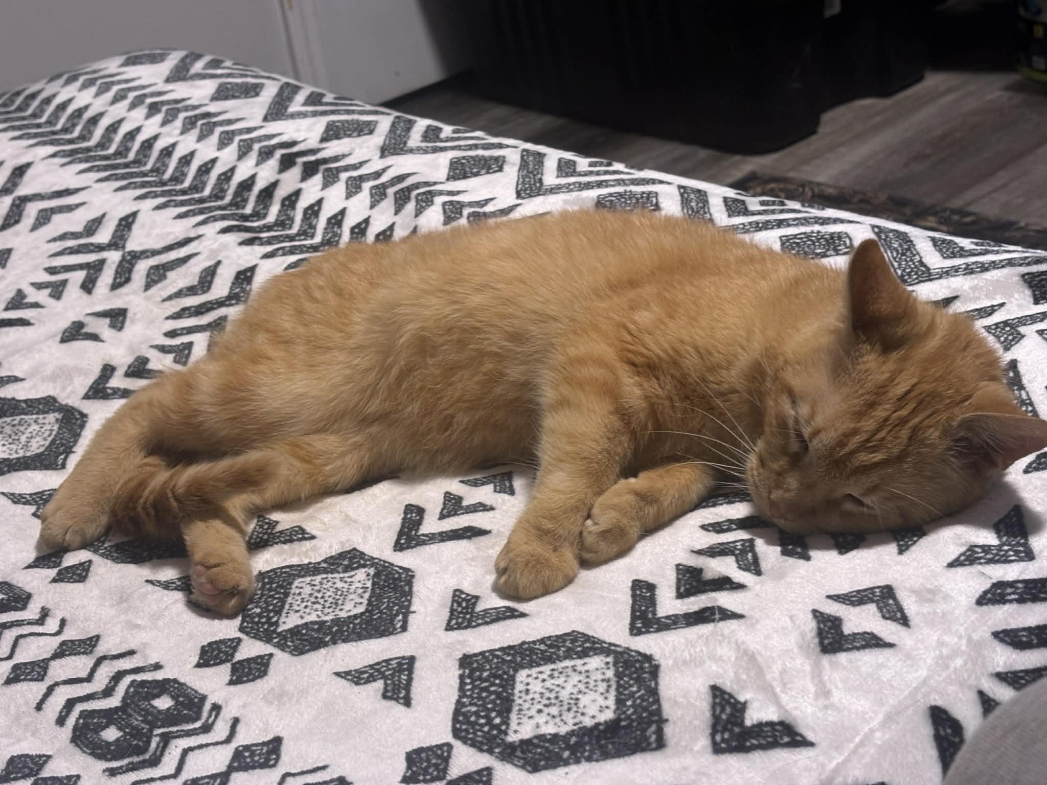 Arthur (Artie) — thumbnail 6