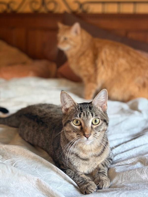 Minnie Moo — thumbnail 5