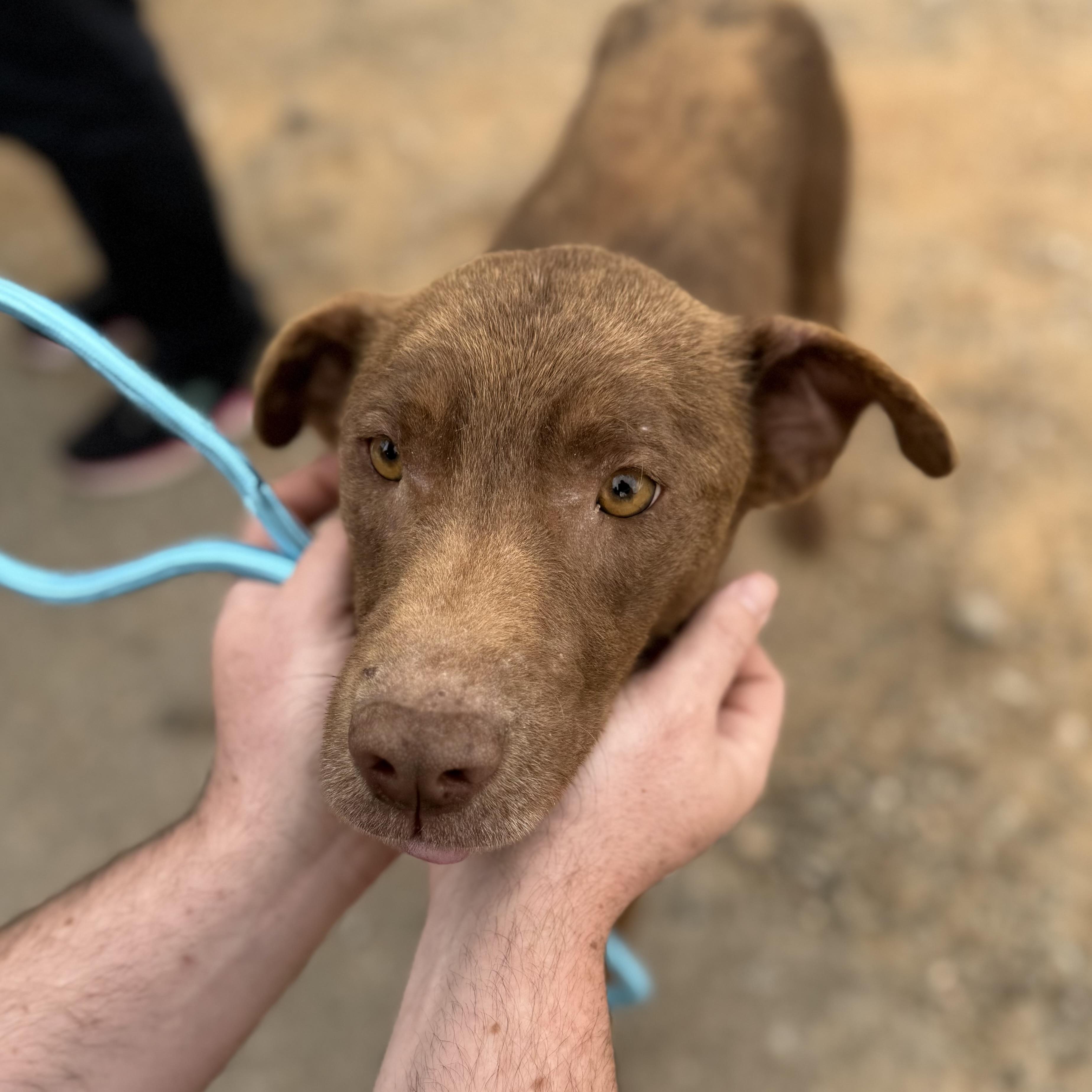 Algebra — thumbnail 2