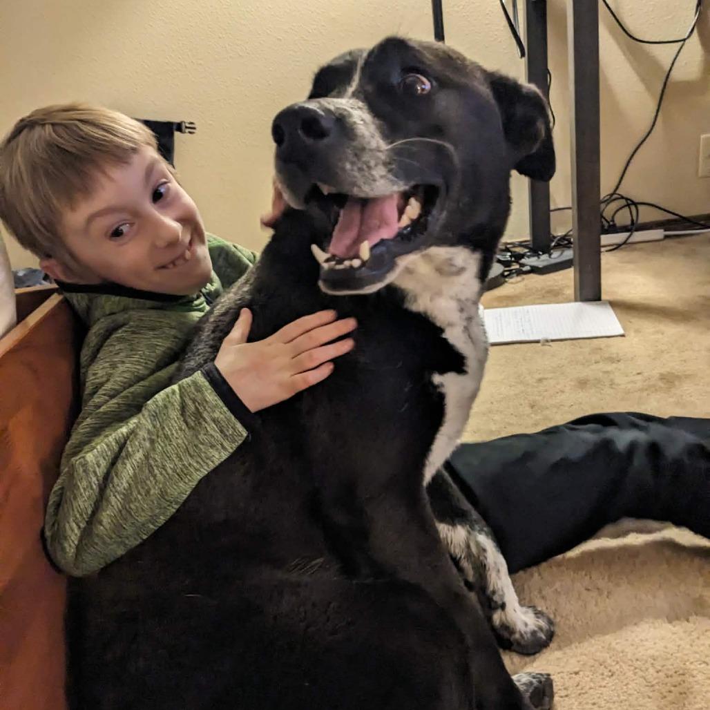 Enlarge Millie, a Adoptable mixed breed in Bend, OR image 3/6