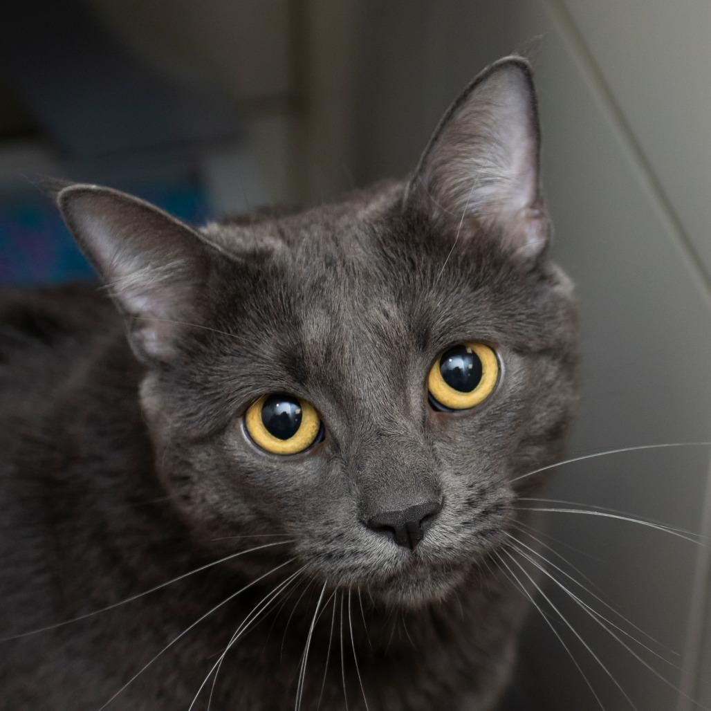 Marty photo