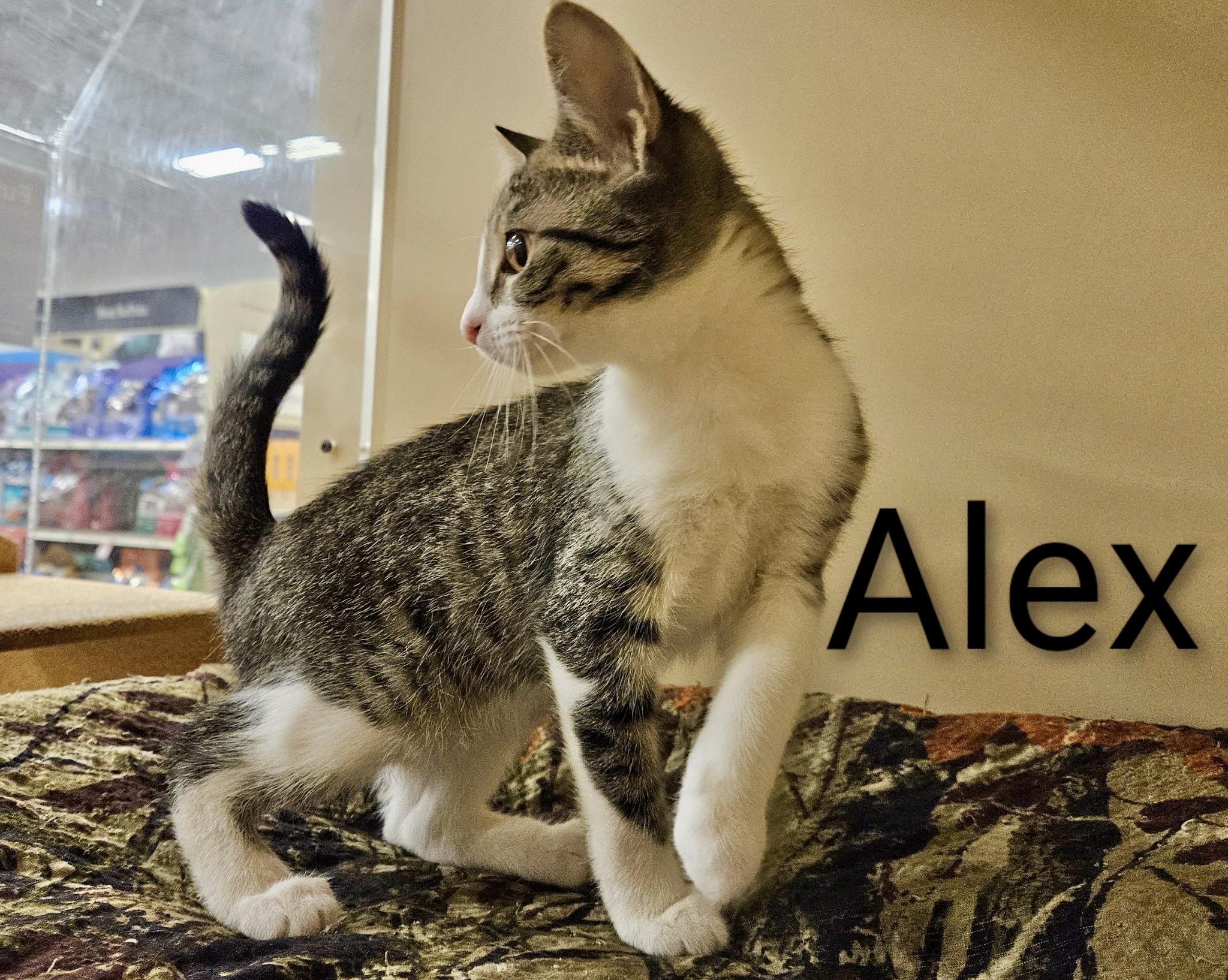 Alex - North Conroe Petsmart