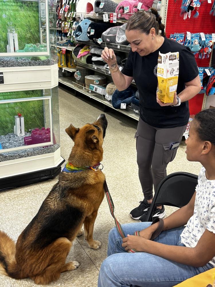 Enlarge Astra, a Adoptable mixed breed in Sealy, TX image 5/6