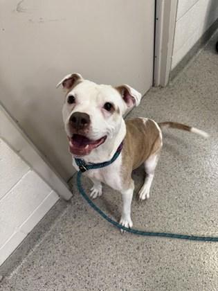 Greta — thumbnail 2