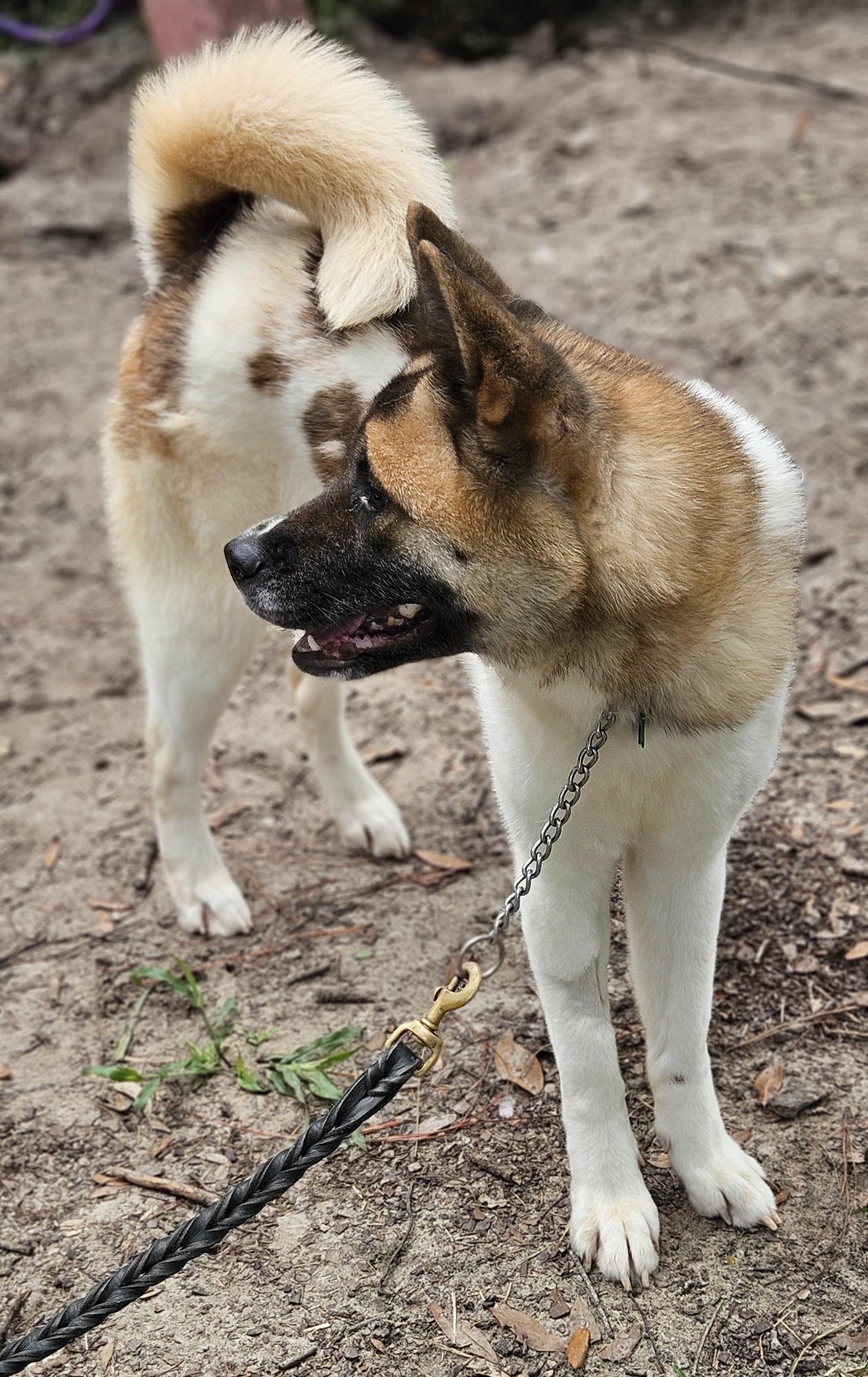 Yuki