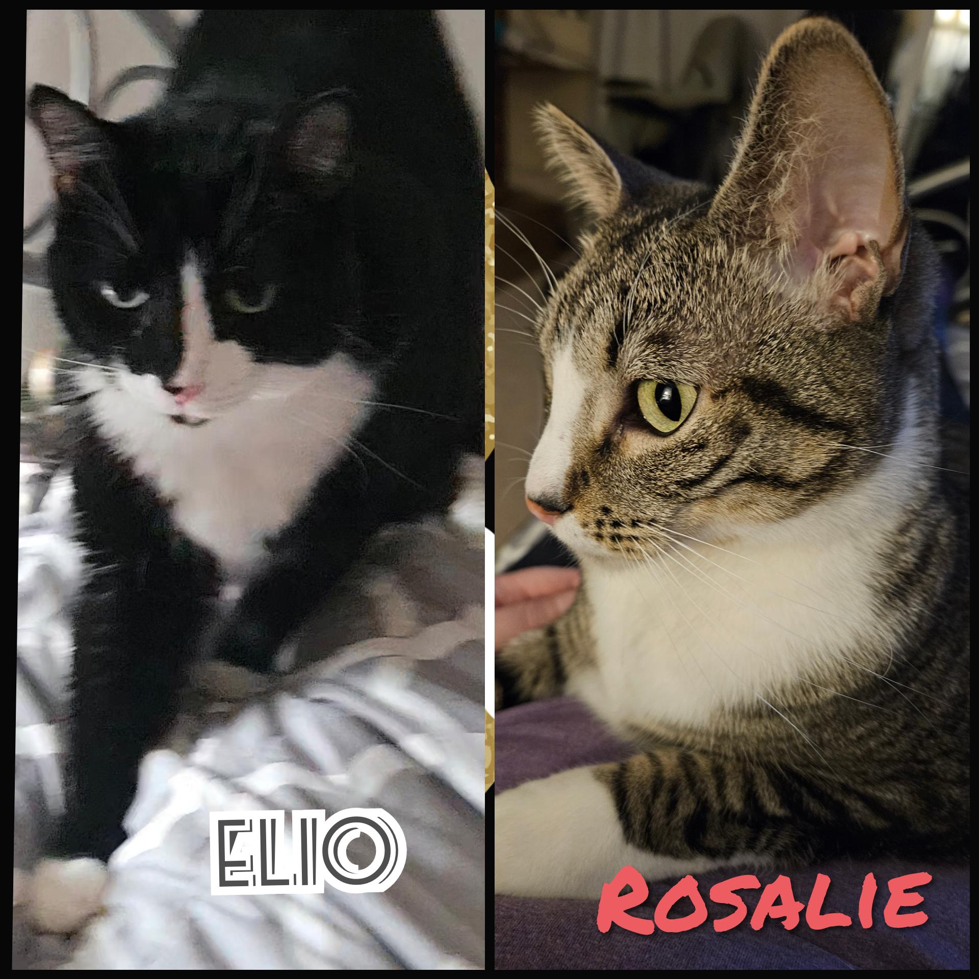 Elio & Rosalie