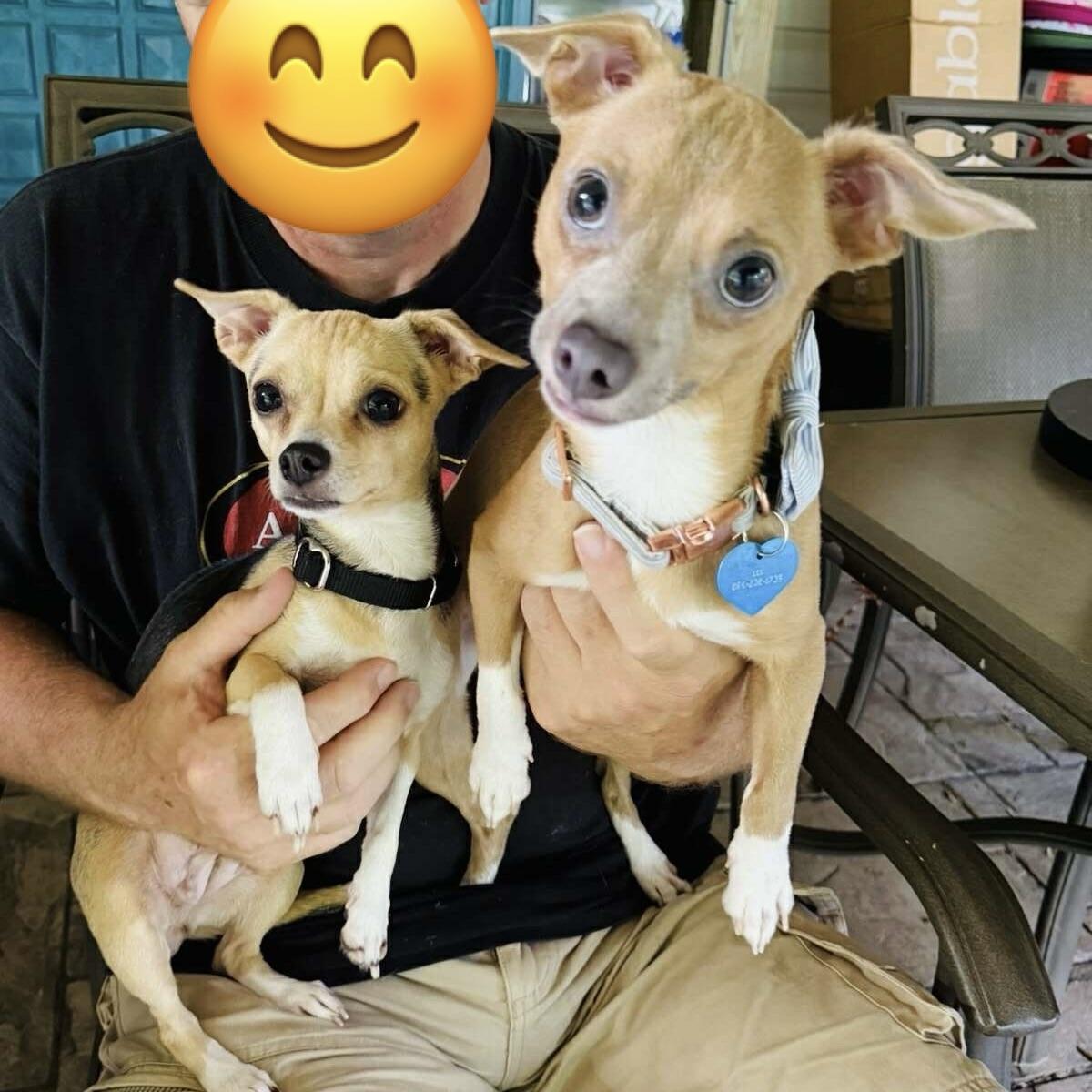 Mama Luna (20250801-02) ***Part of a Bonded Pair***