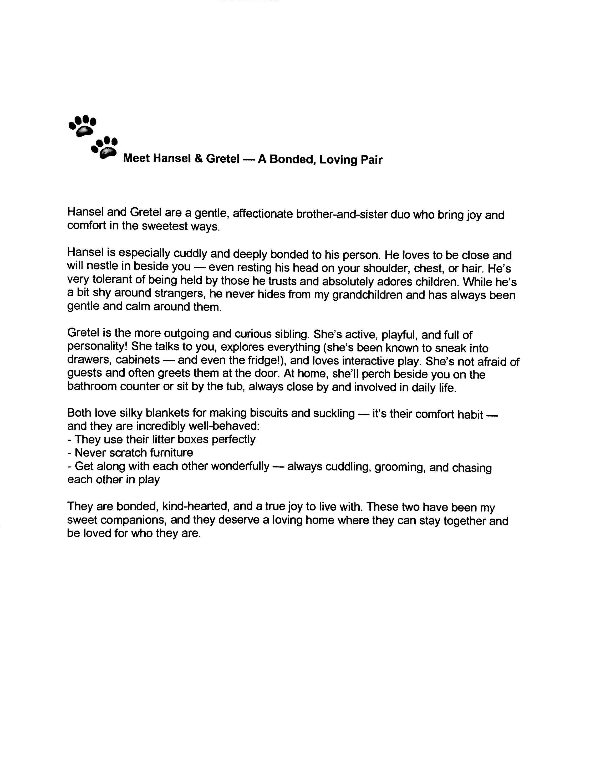 Hansel and Gretel, a Adoptable American Shorthair image 2/2