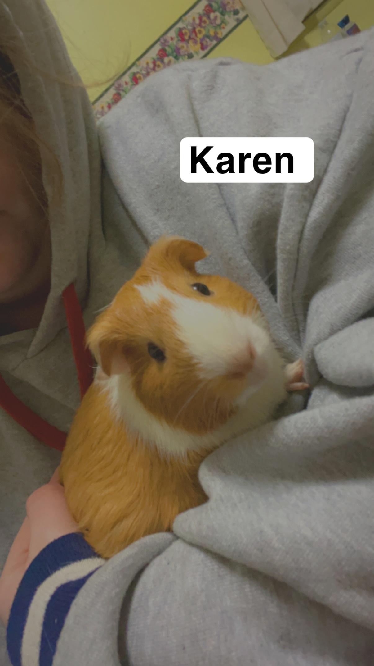 Karen and Carolina