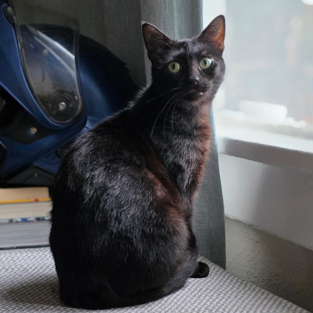 Sydney — thumbnail 3