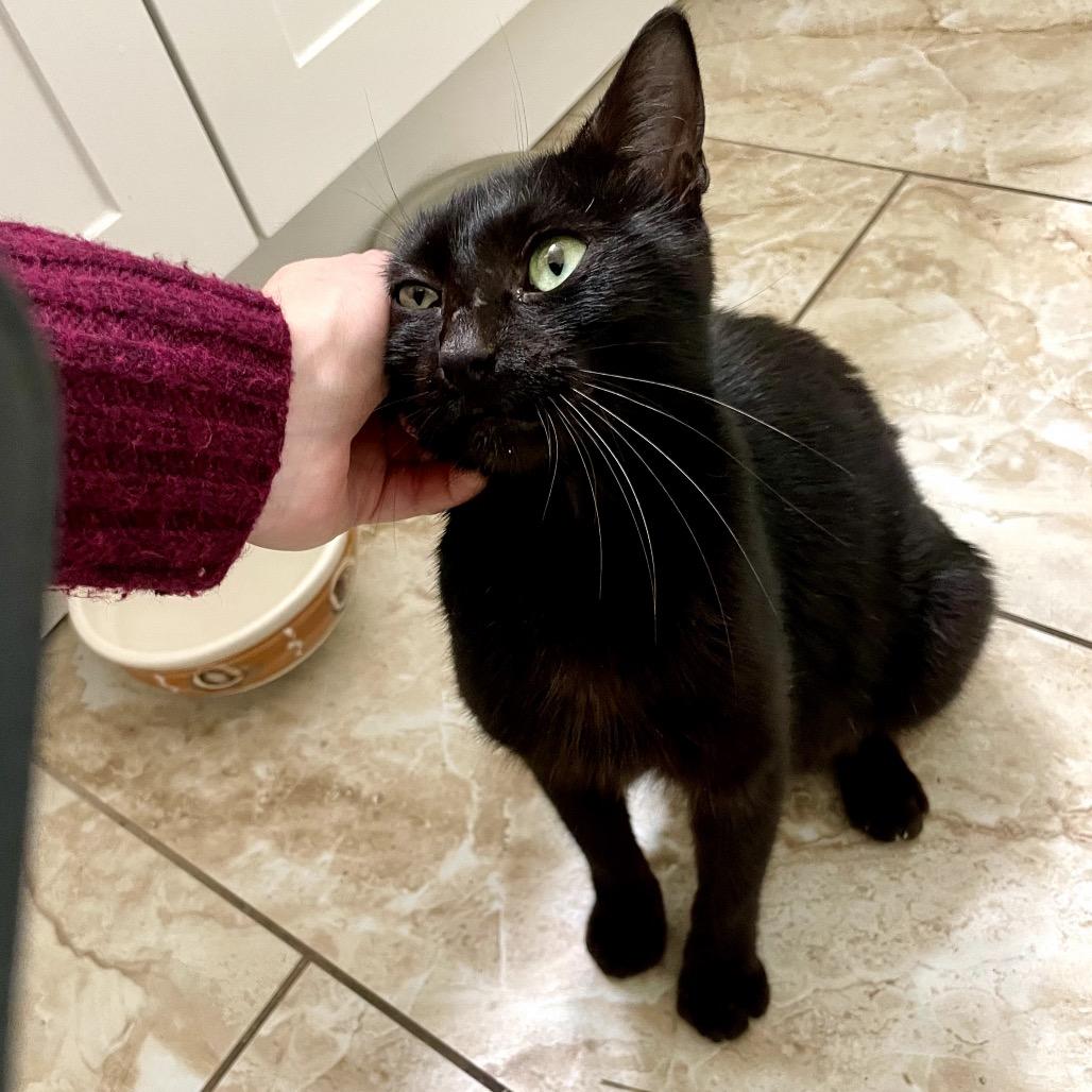 Sydney — thumbnail 4