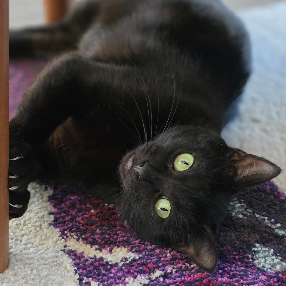 Sydney — thumbnail 5