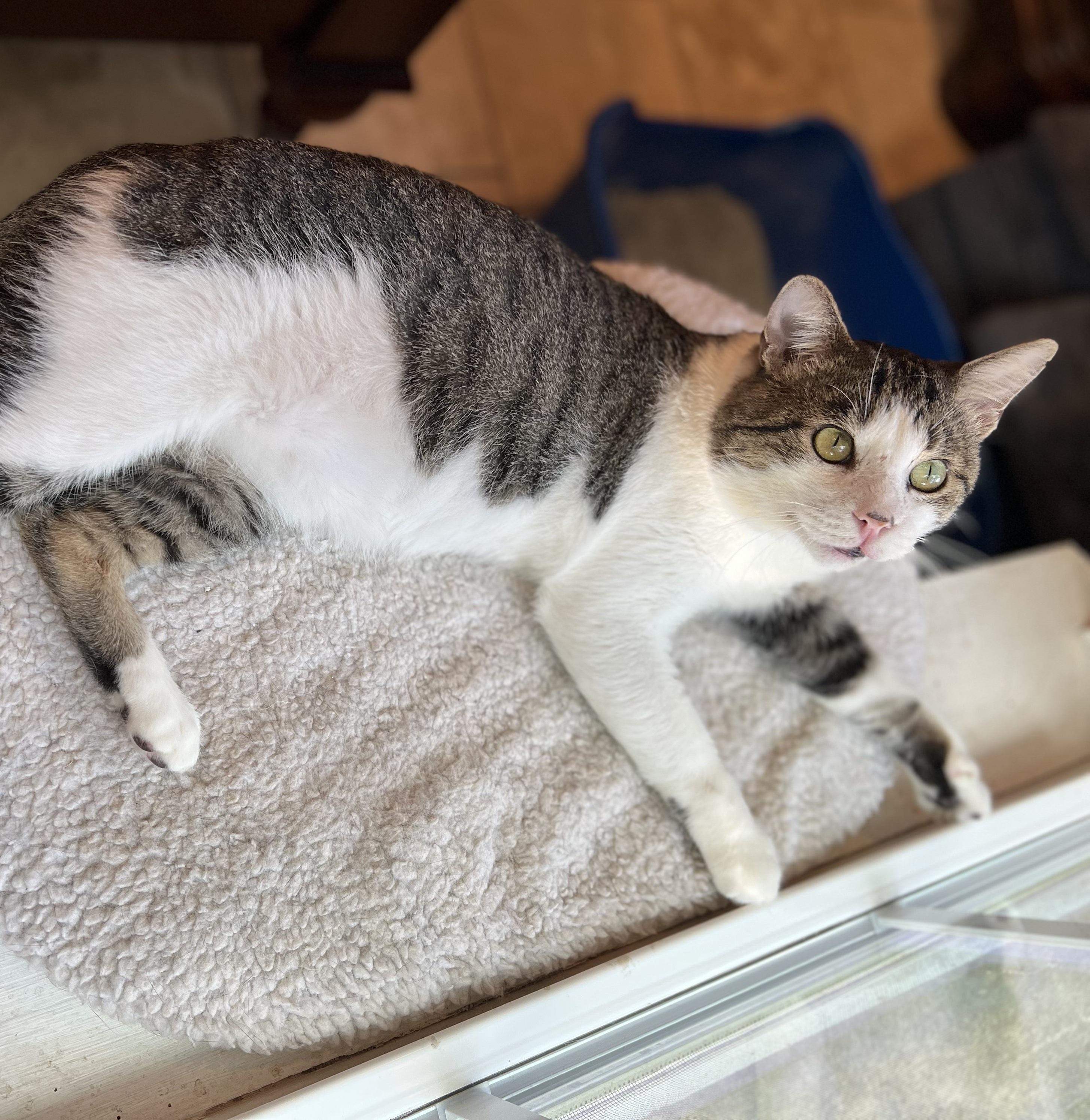 Albie #endlessly-affectionate