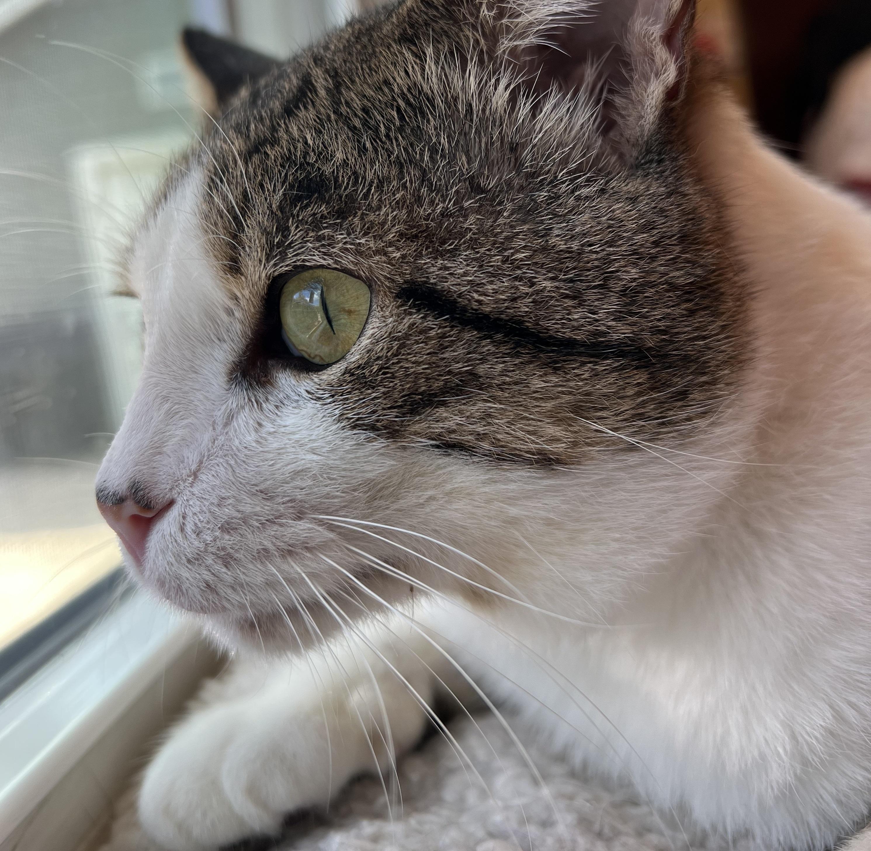 Albie #endlessly-affectionate