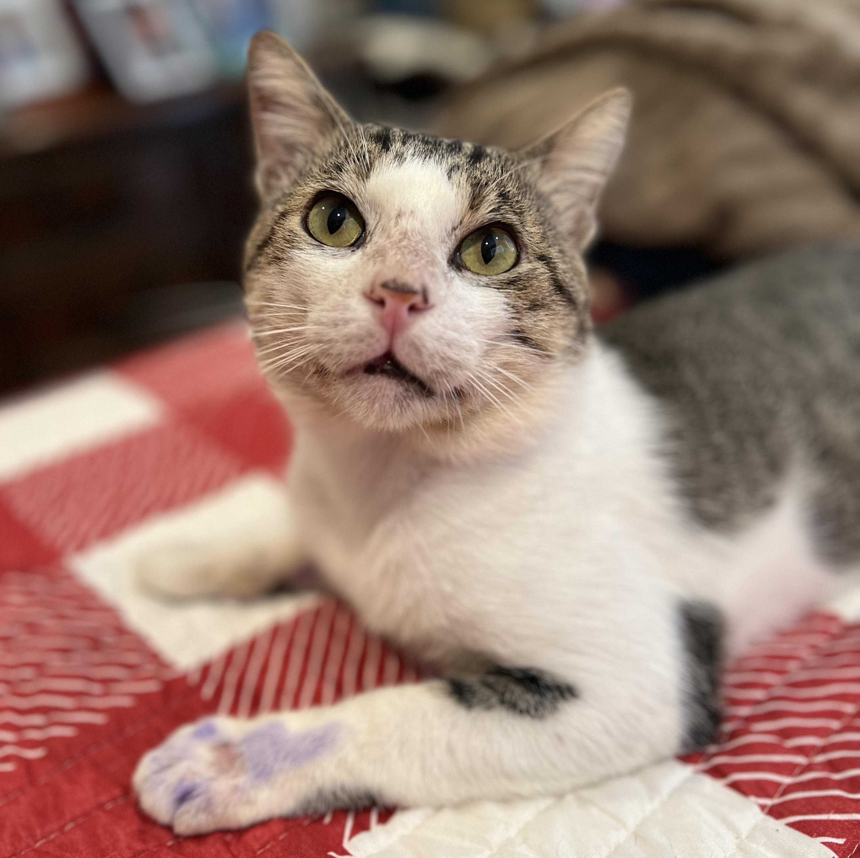 Albie #endlessly-affectionate