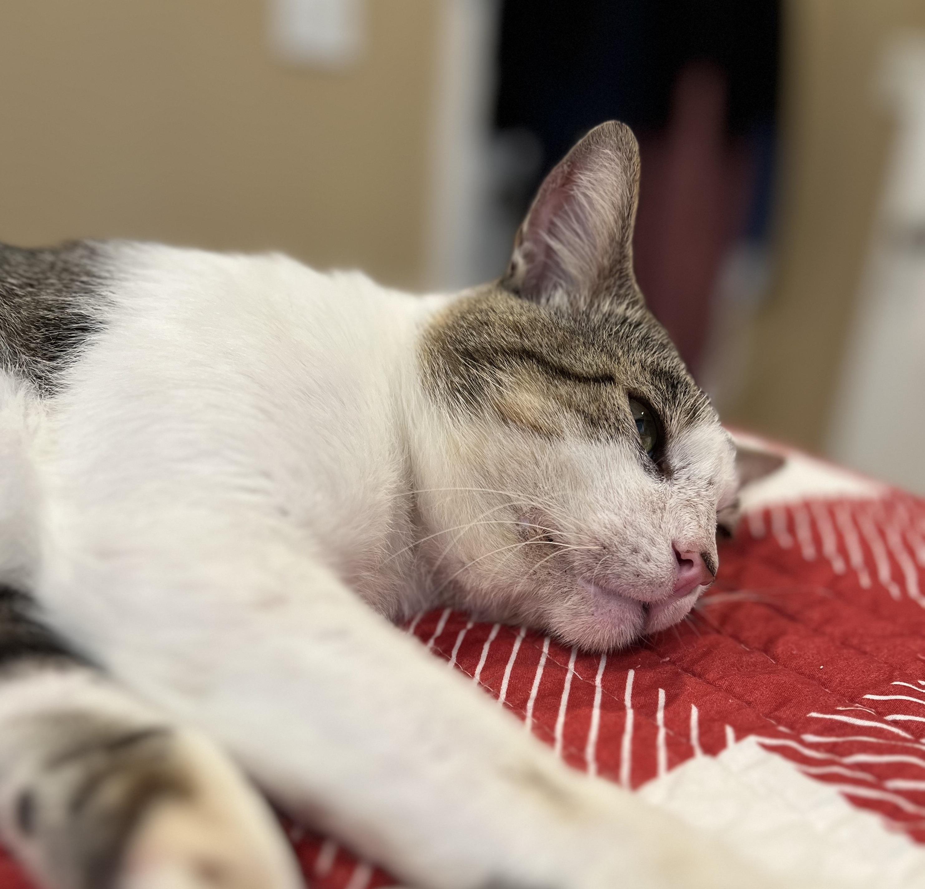 Albie #endlessly-affectionate