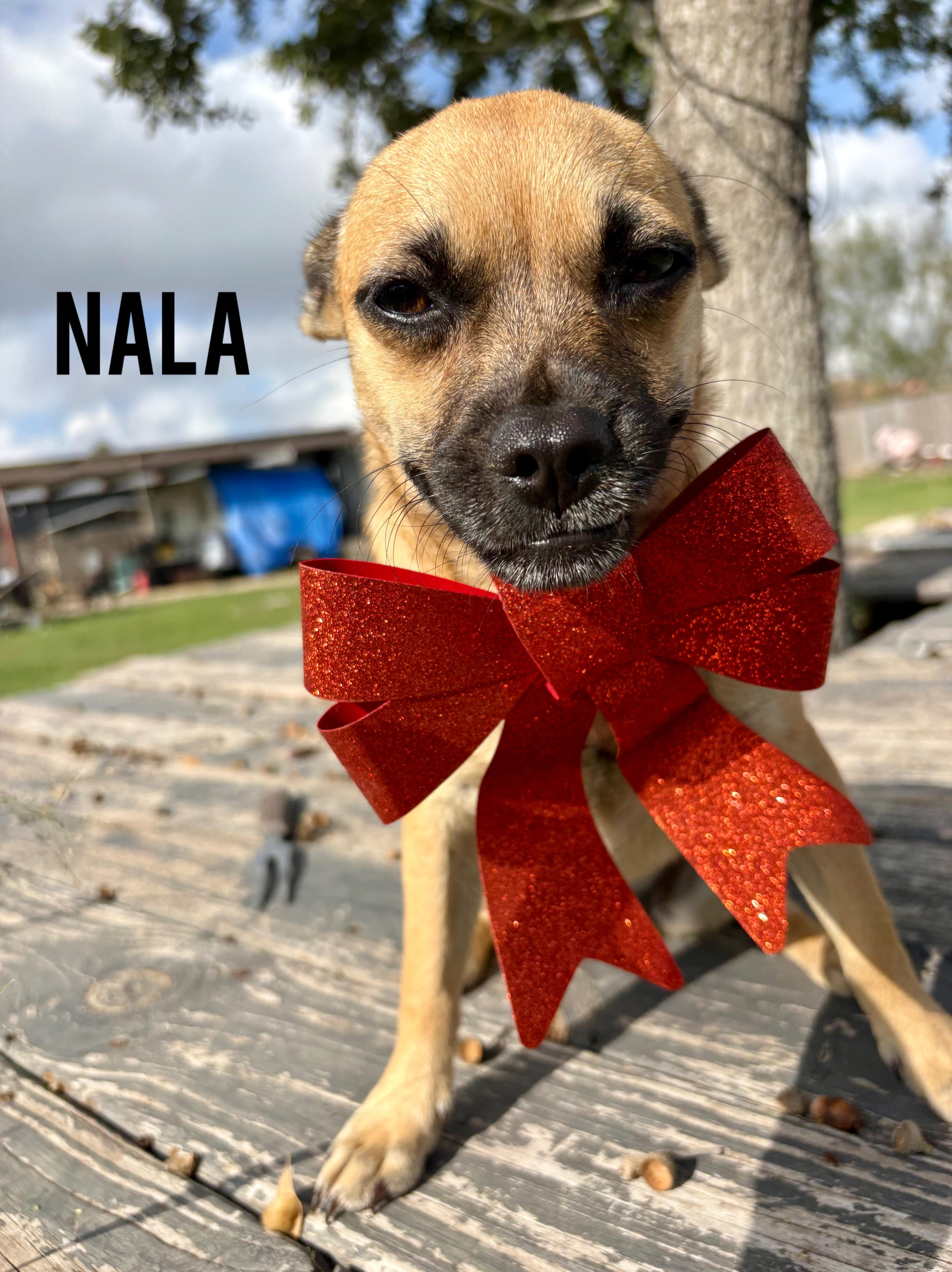 Nala
