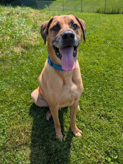 Mugsy, Senior Male unknown