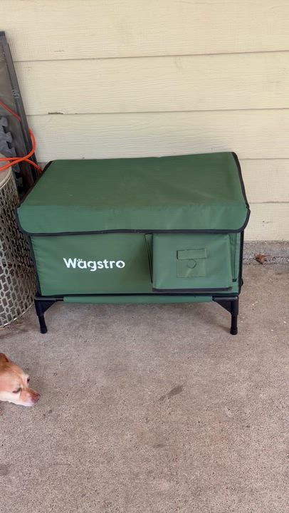 Enlarge Arthur , an adoptable mixed breed in Dallas, TX video 5/5