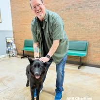 Enlarge Lily, a ADOPTABLE German Shepherd Dog in Brookfield, CT image 6/6