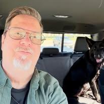 Enlarge Lily, a ADOPTABLE German Shepherd Dog in Brookfield, CT image 3/6