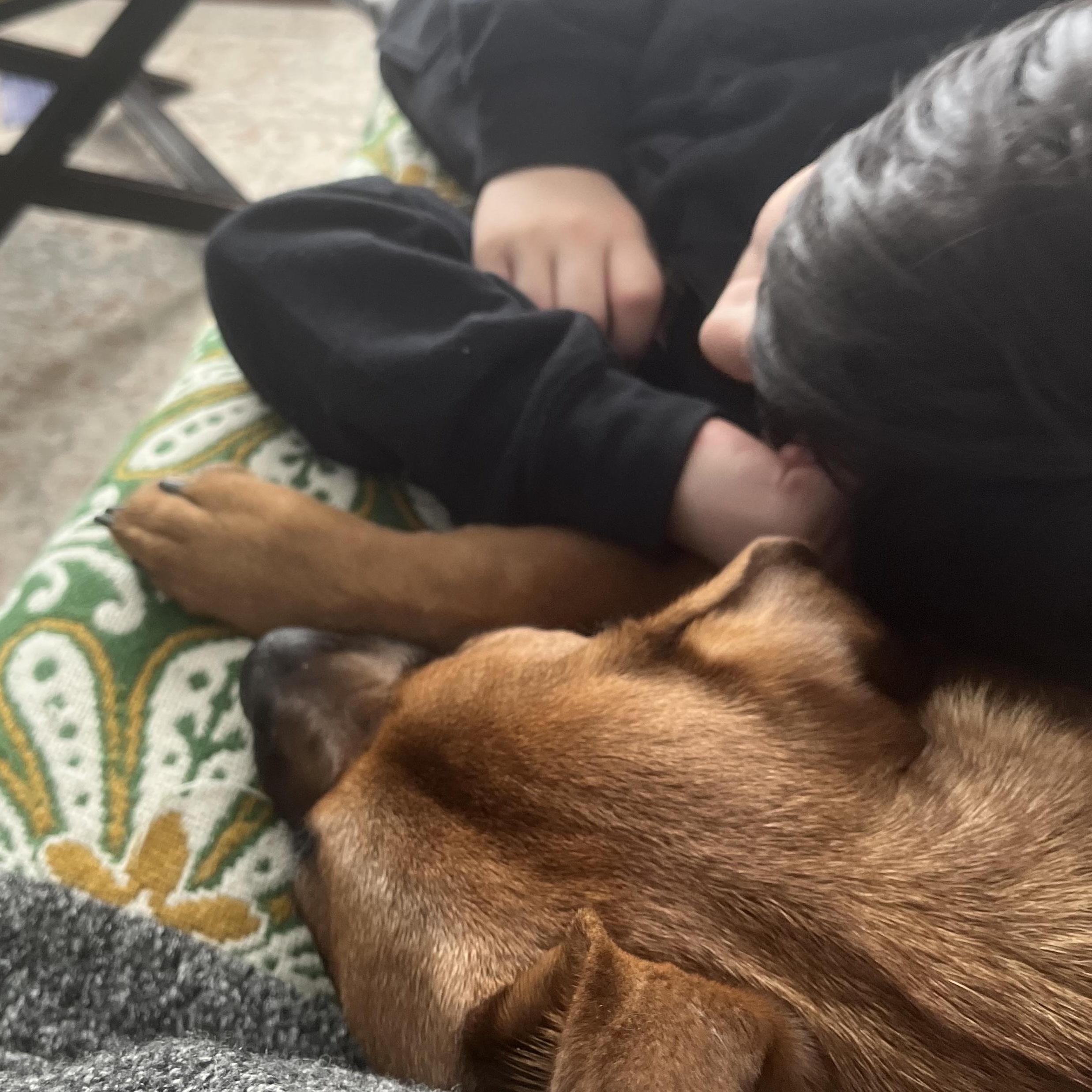 Enlarge Jinx , a ADOPTABLE mixed breed in Richmond Hill, ON image 4/4