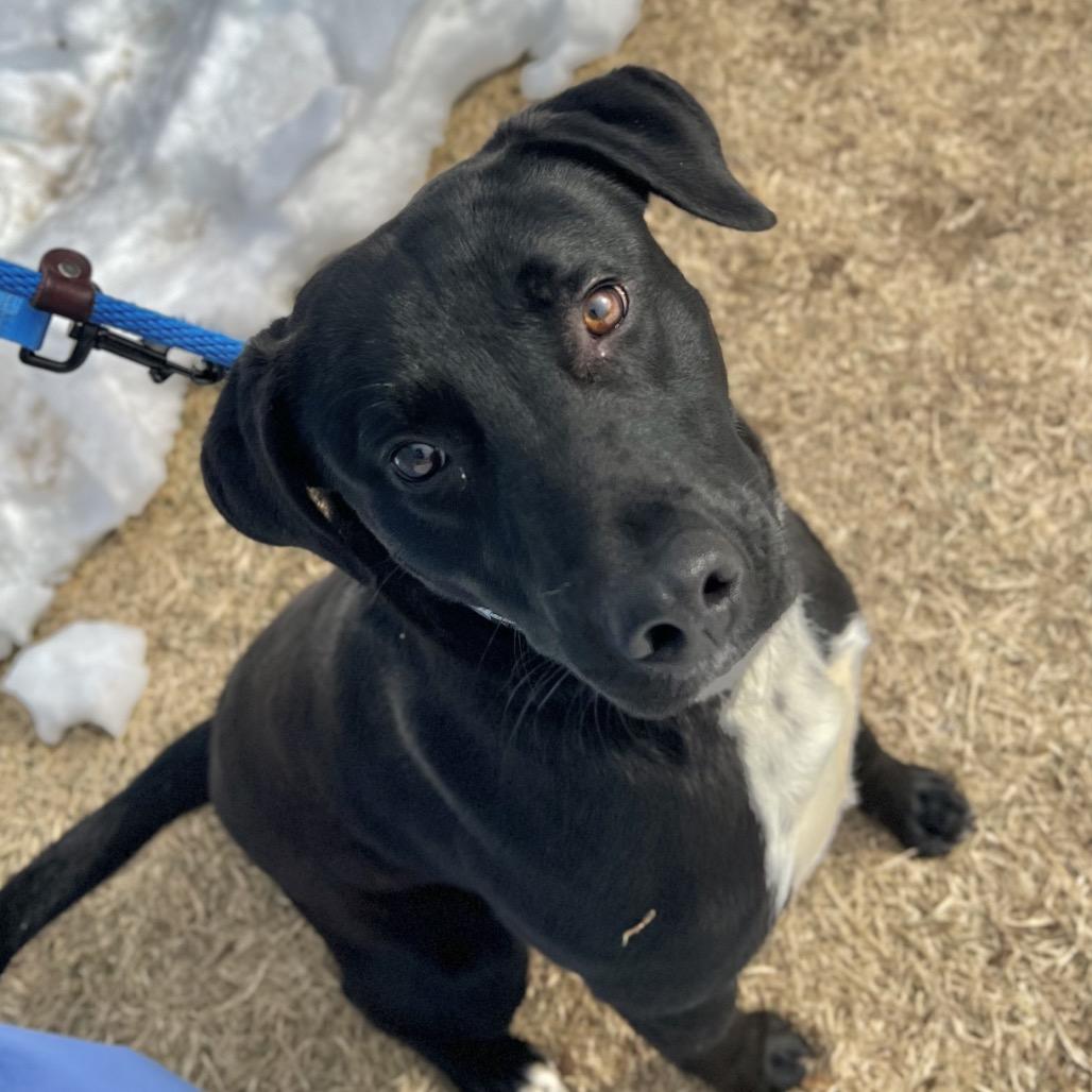 Drake — thumbnail 3