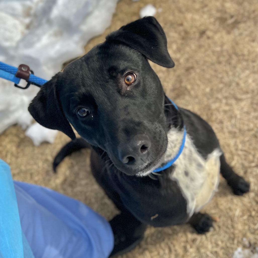 Drake — thumbnail 5