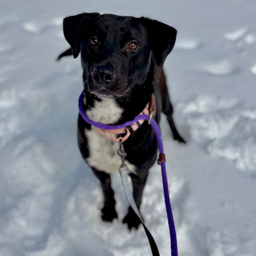 Drake — thumbnail 6