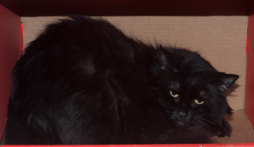 Betty photo 3