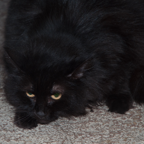 Betty photo 2