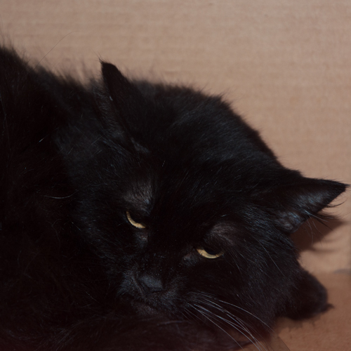 Betty photo 1