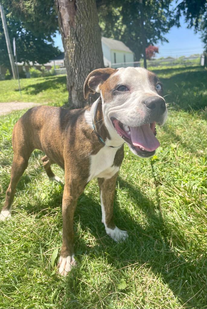 Marlene (in a FOSTER home) photo 2