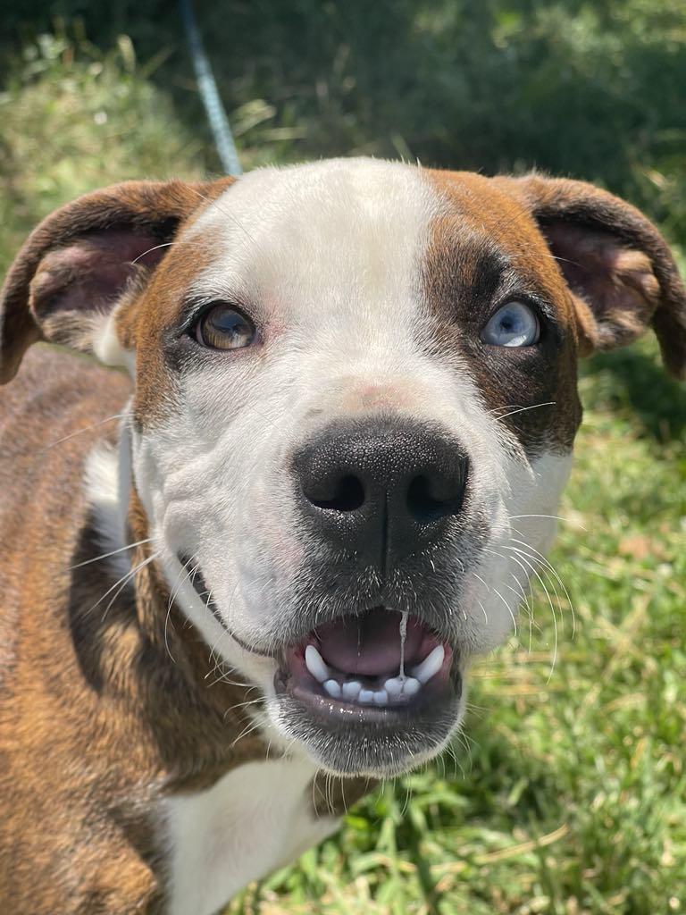 Marlene (in a FOSTER home)
