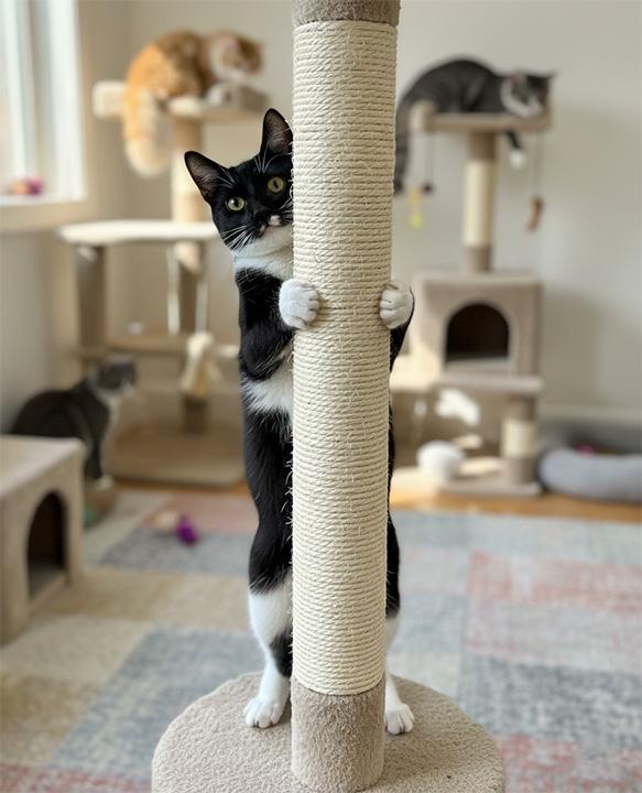 Whiskers Winn — thumbnail 4