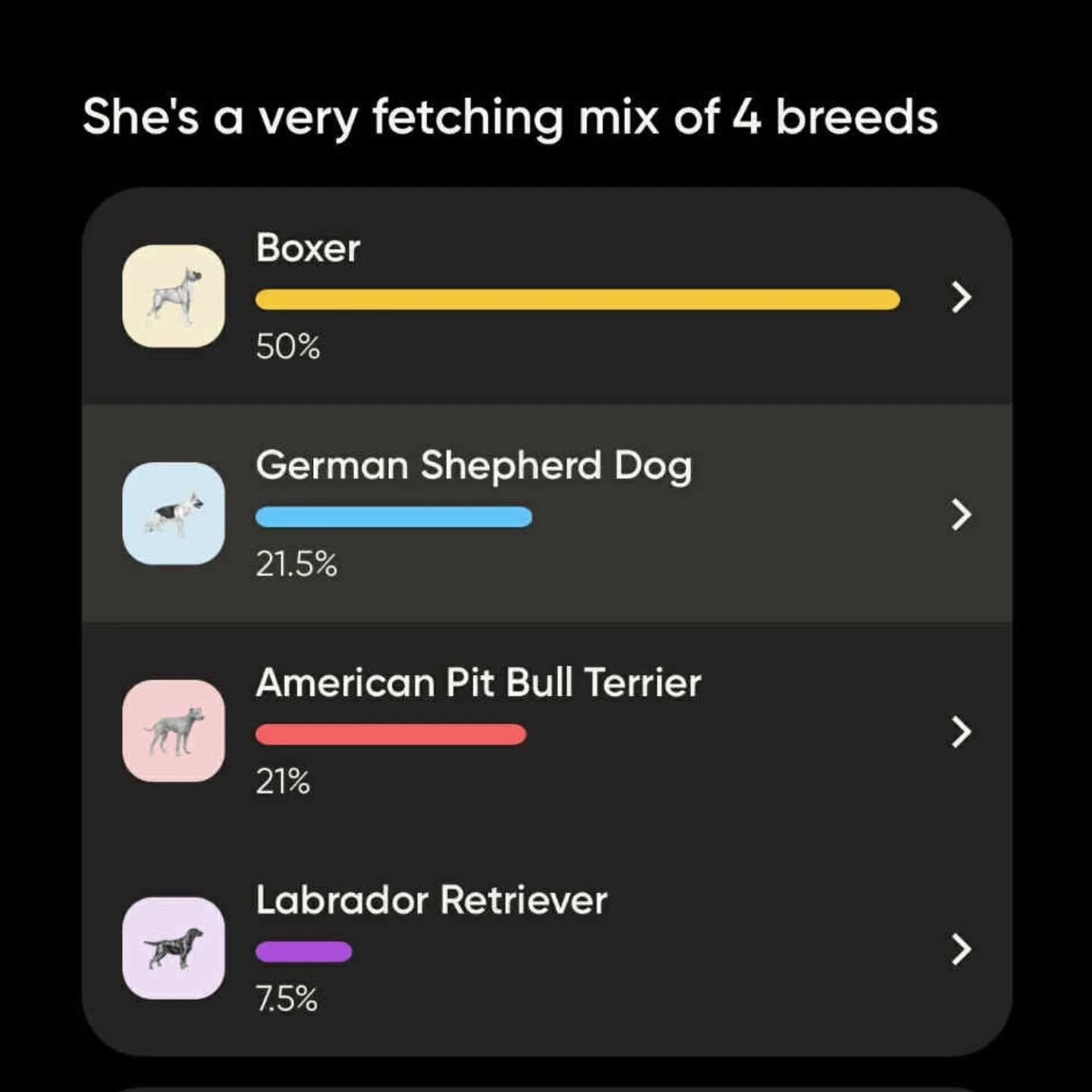 Enlarge Honeybee, a Adoptable mixed breed in Spokane, WA image 6/6
