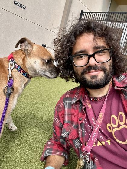 Smoky, Adoptable, Adult Male Mixed Breed & Mixed Breed.