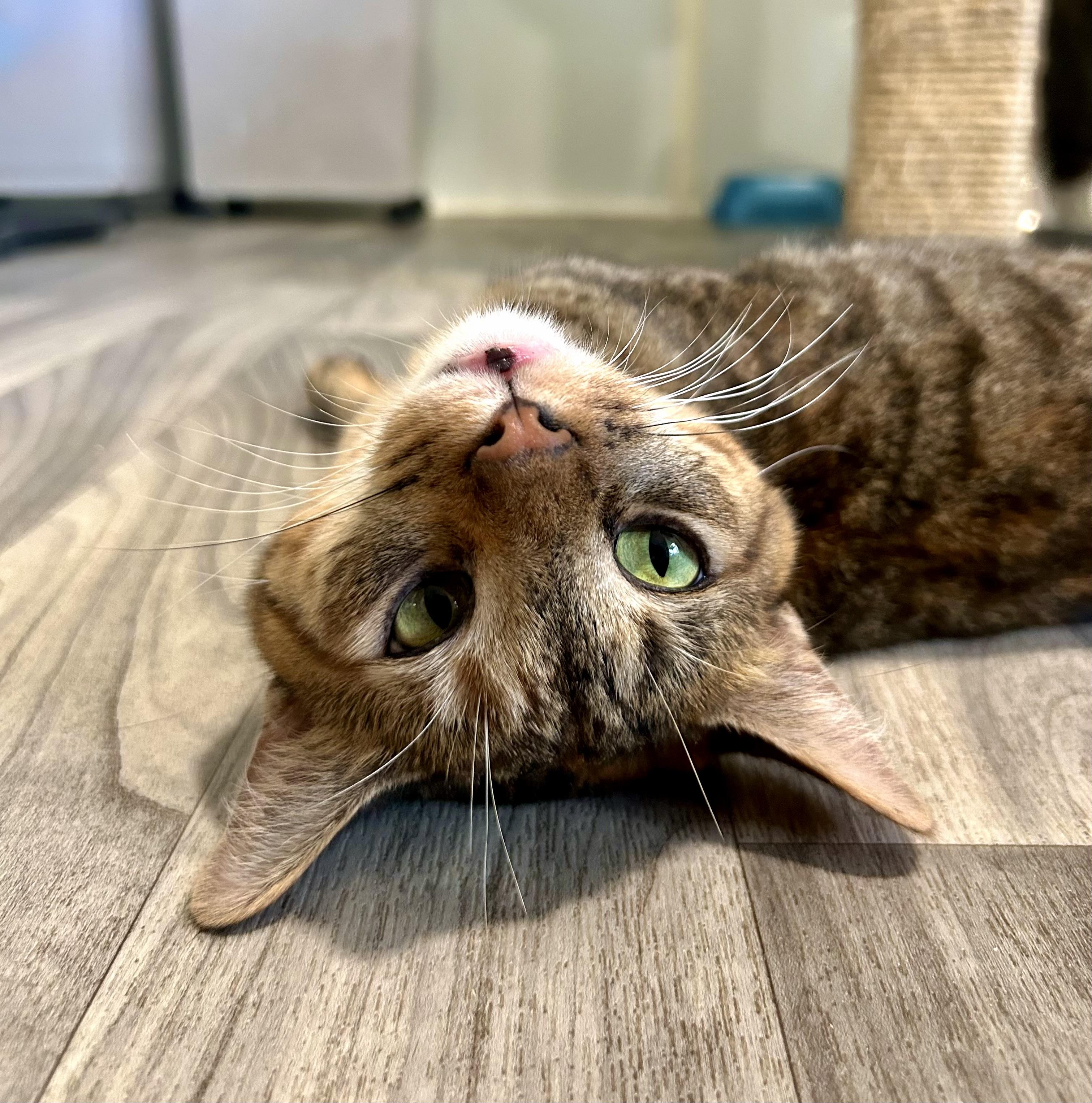Nadia