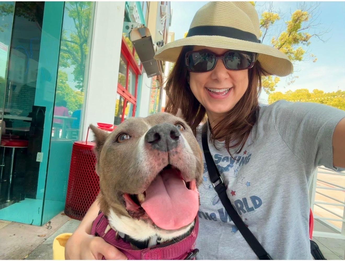 Bella *Courtesy Post, a Adoptable Pit Bull Terrier in Los Angeles, CA image 4/6